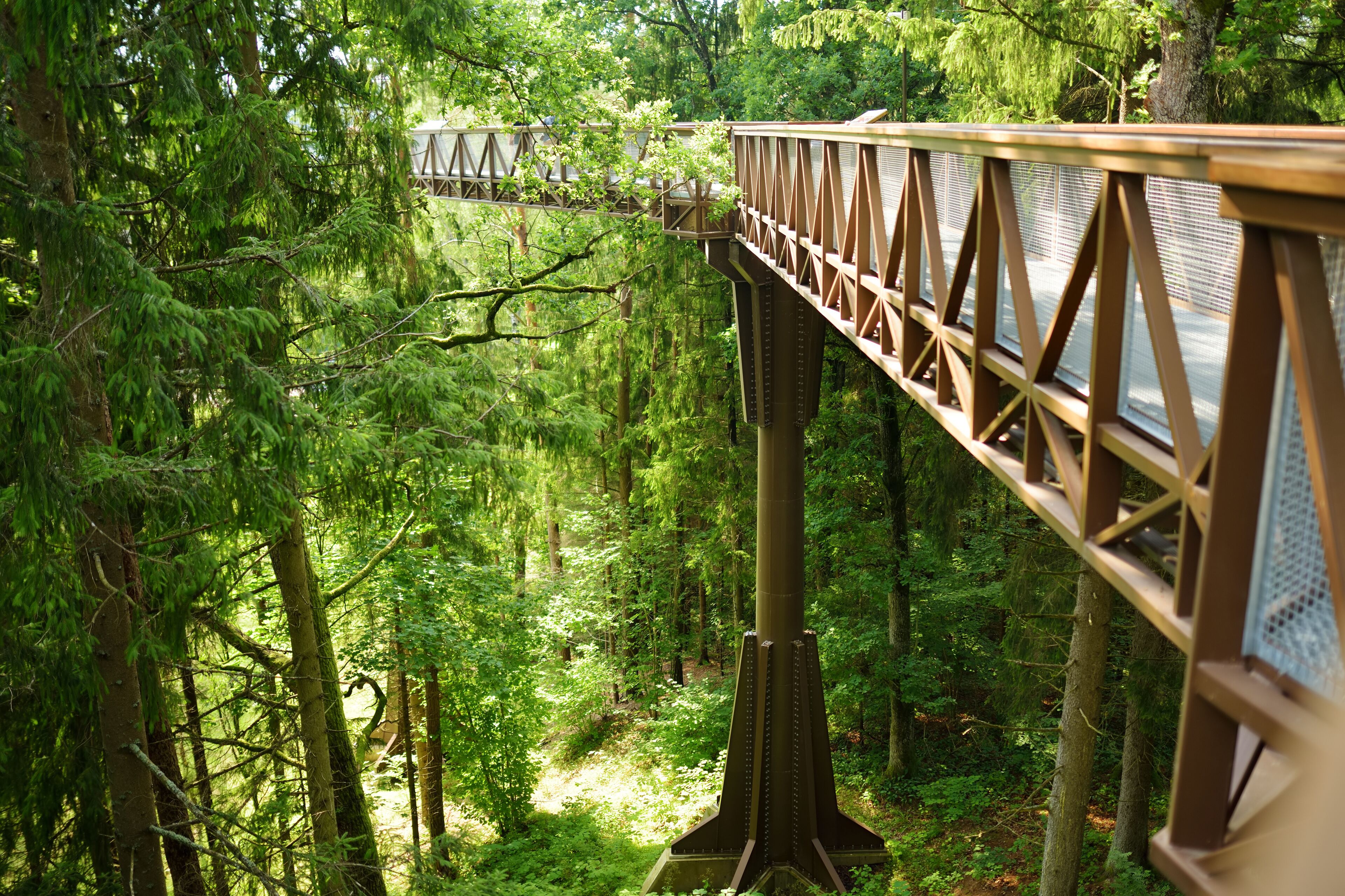 Laju takas, tree-canopy trail complex with a walkway, an information center and observation tower, located in Anyksciai.
