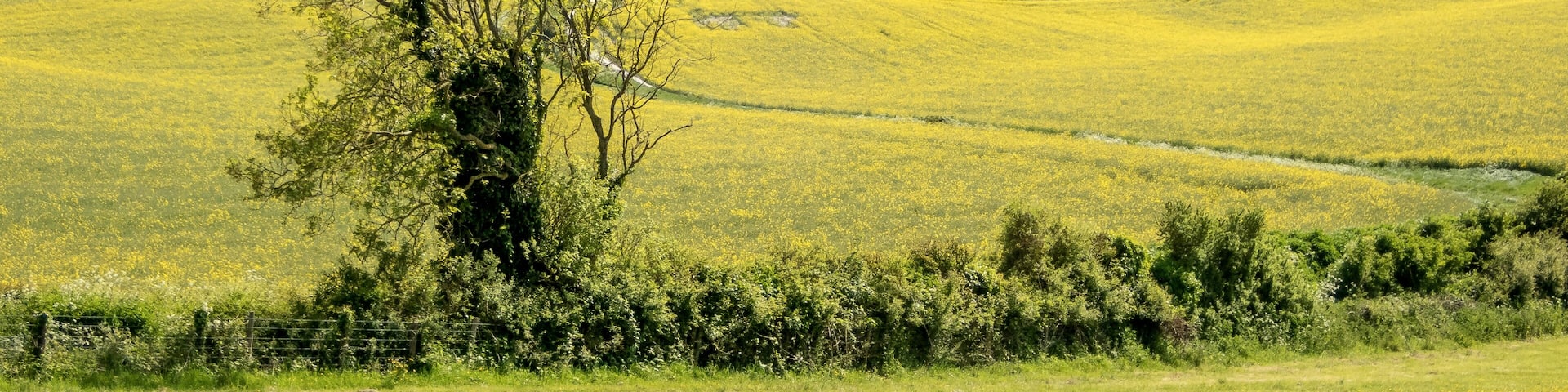 The Long Man of Wilmington, a hill carving on the Sussex Downs, possibly Neolithic, 15th century or later, above the village of Wilmington, East Sussex, England, Erope