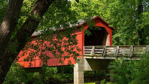 Old Covered Bridge