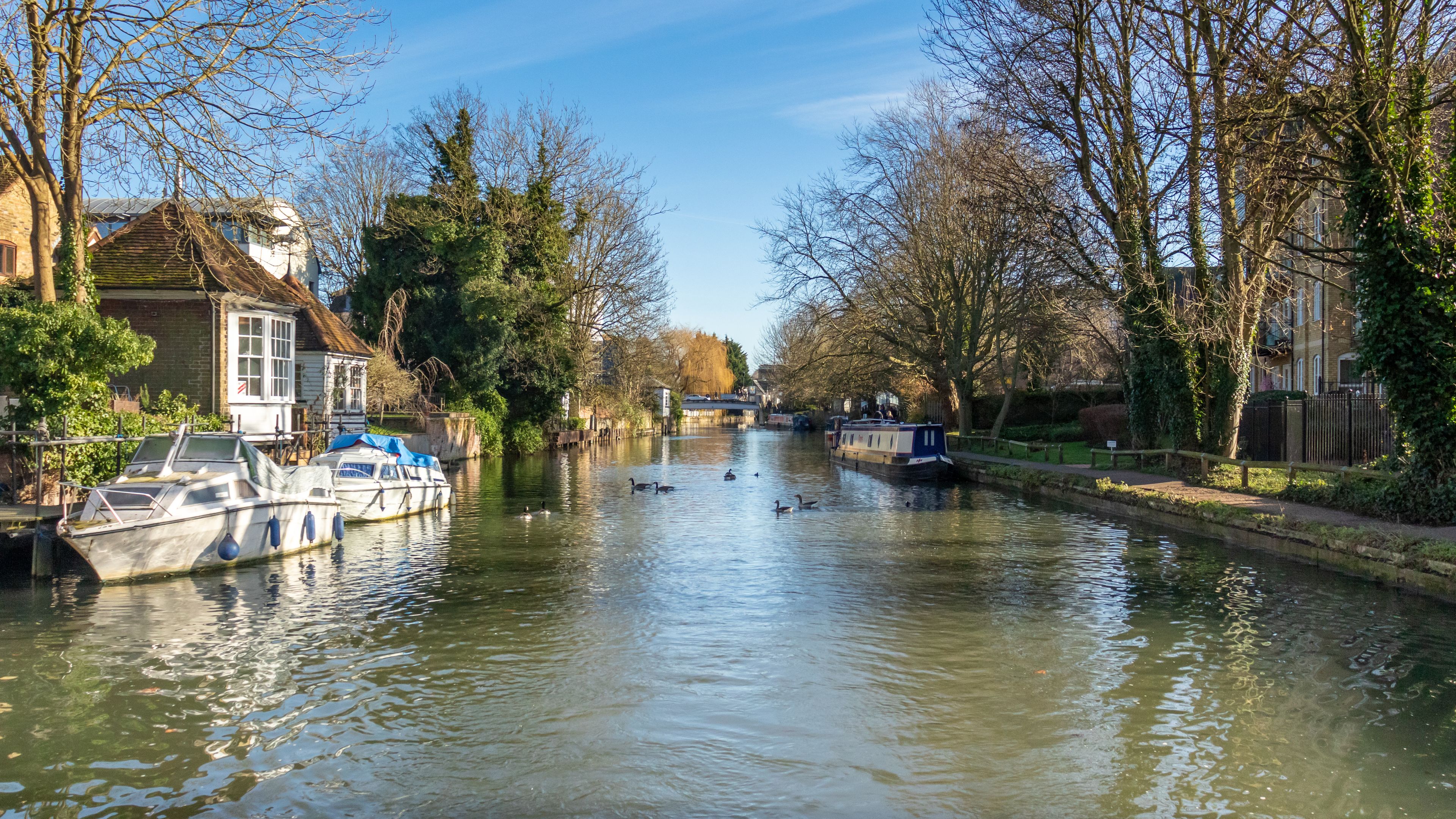 Une rivière paisible, avec des bateaux amarrés sur la rive gauche, des canards qui nagent et des arbres qui bordent les berges.