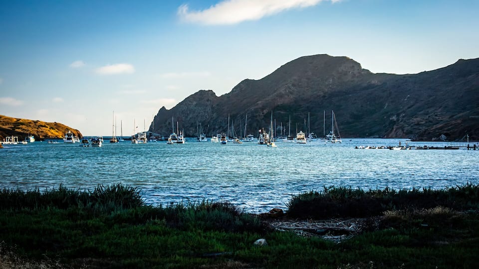 A coastal bay with numerous sailboats anchored near rocky cliffs.