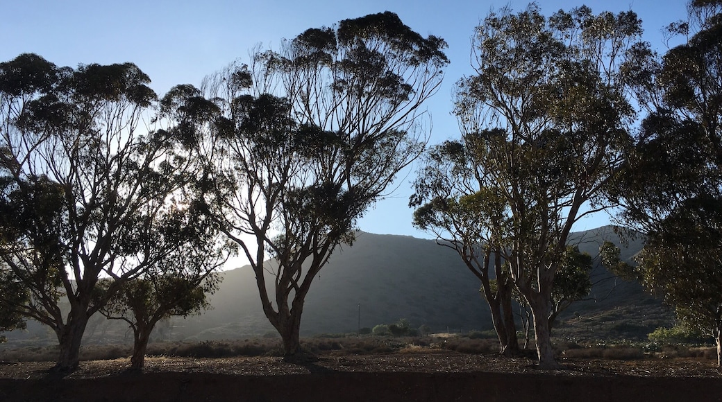 On the walk into the town of Two Harbors.