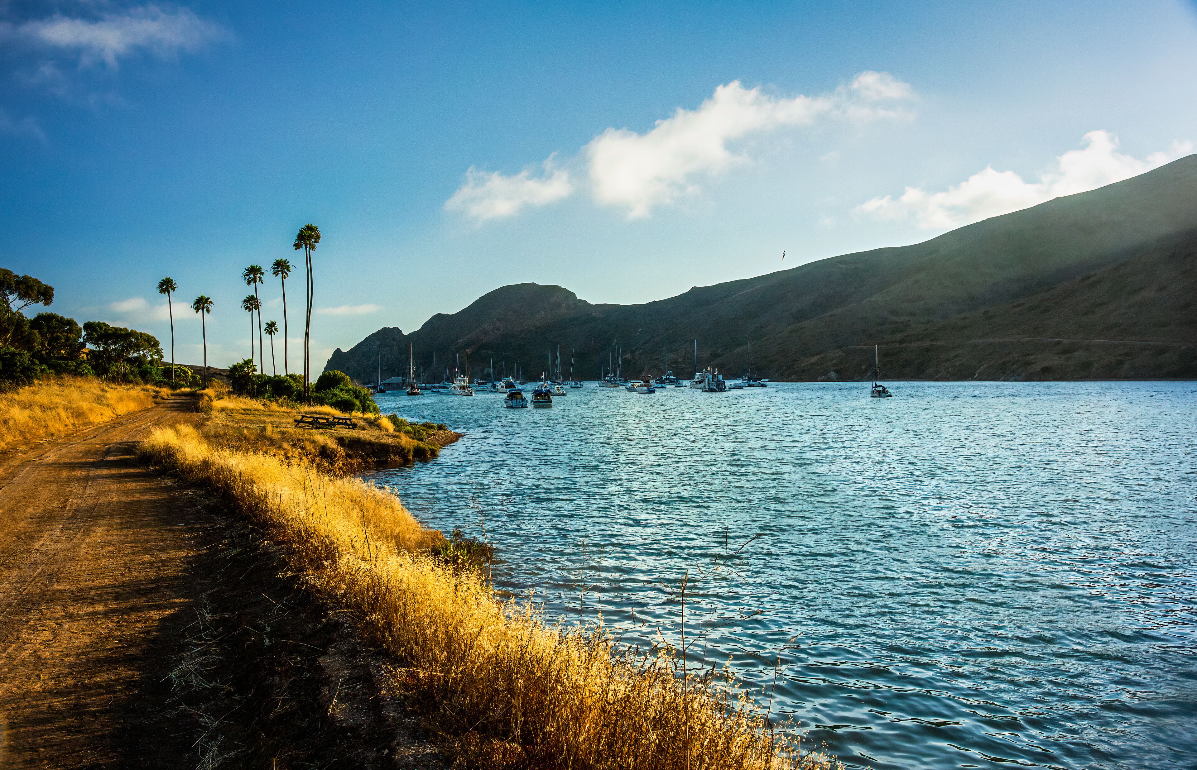 Dirt Road Alongside Two Harbors in Catalina Island