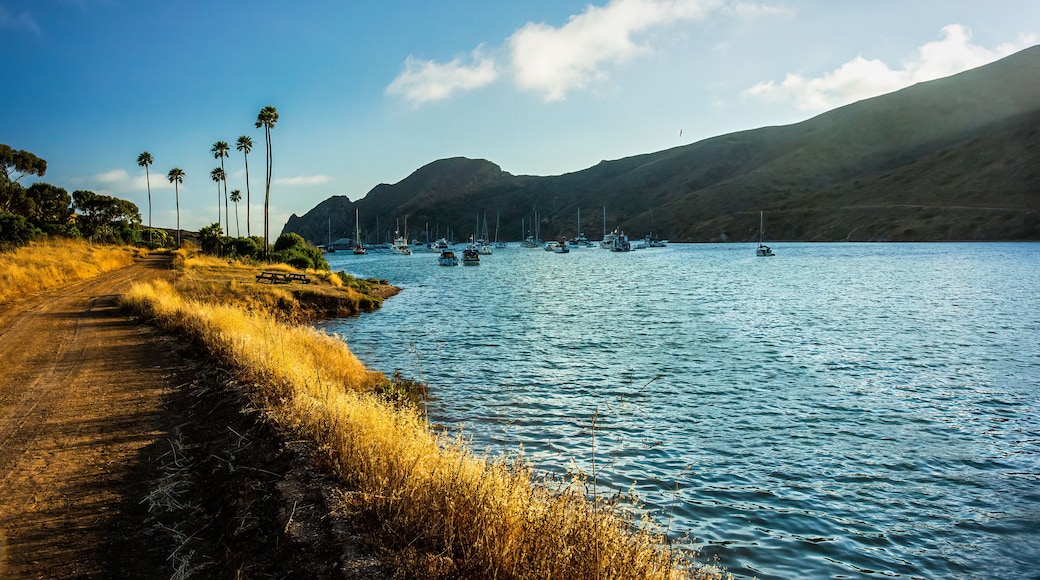 Dirt Road Alongside Two Harbors in Catalina Island