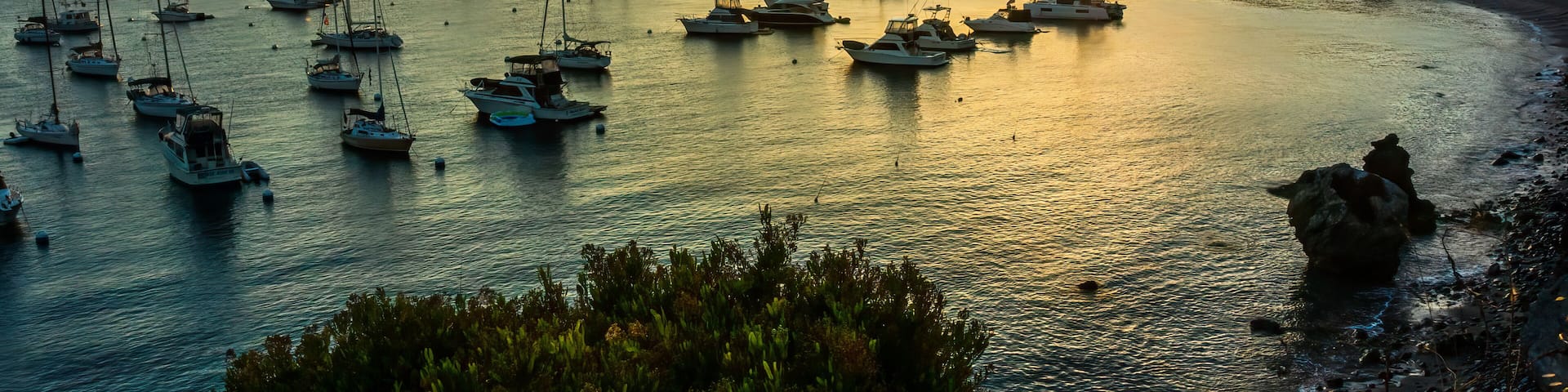 Boats Moored at Two Harbors in Catalina Island at Sunrise - 1