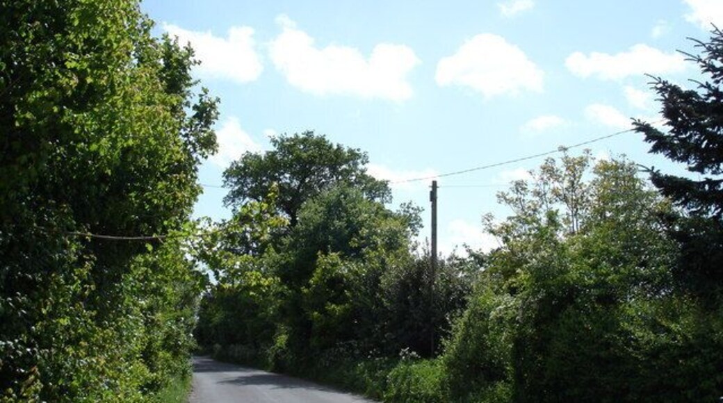 The road to Belstead