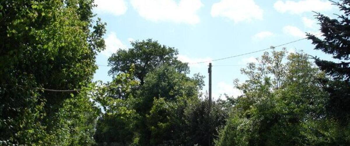 A narrow rural road flanked by dense greenery and trees under a clear sky.