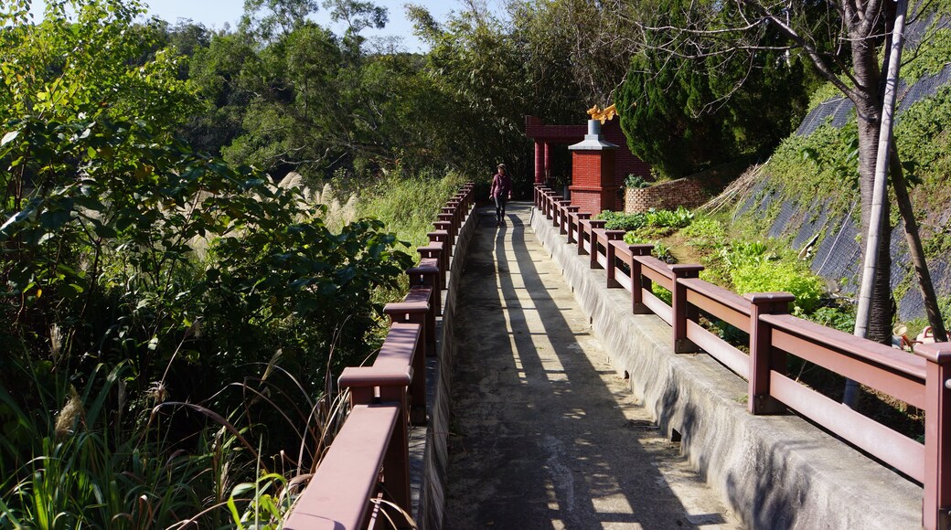 大埔水庫 Dapu Reservoir