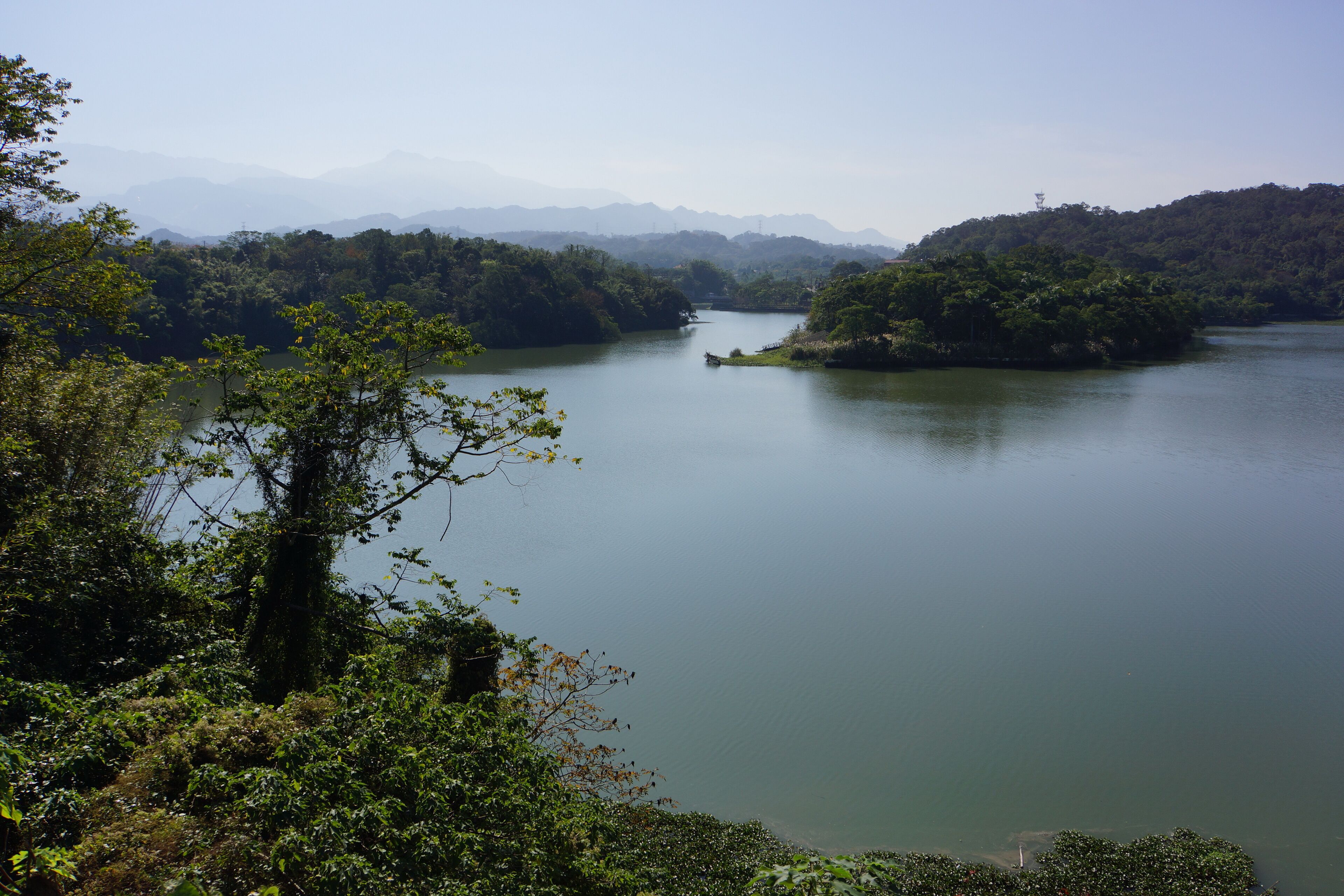 A calm river surrounded by dense forest and distant mountains.