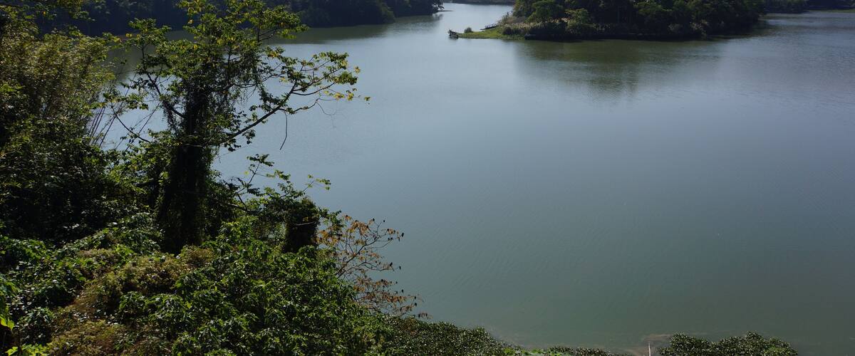 A calm river surrounded by dense forest and distant mountains.