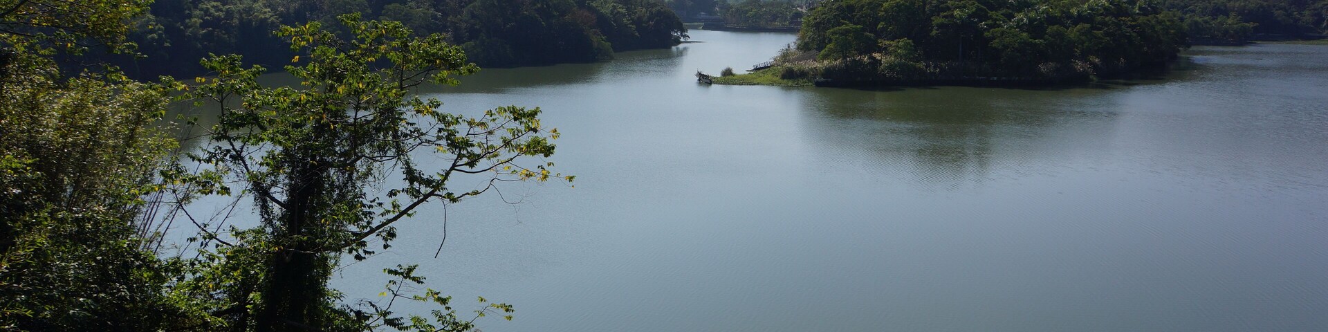 A calm river surrounded by dense forest and distant mountains.