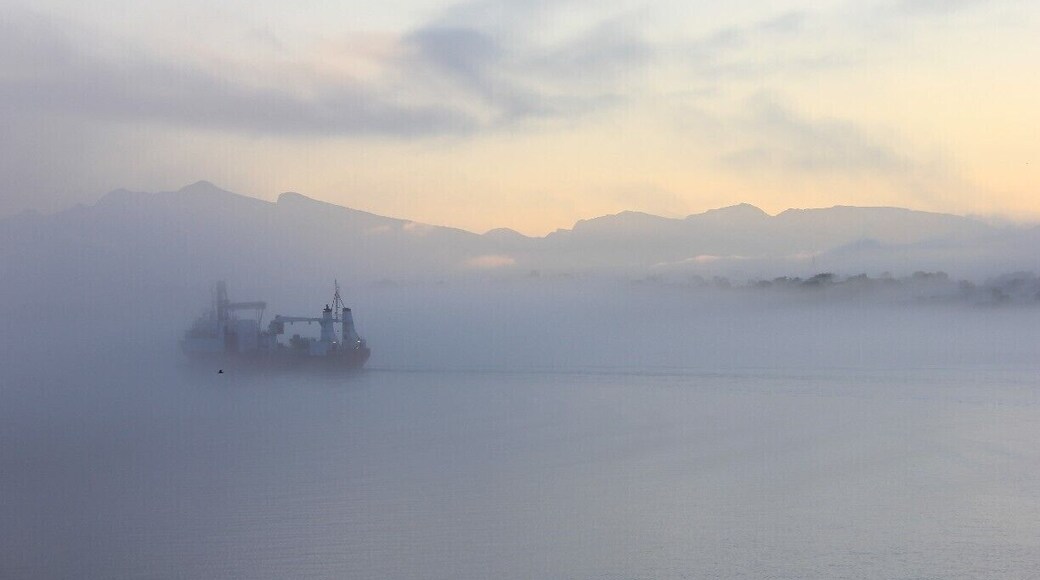 Fog appearing before sunrise.