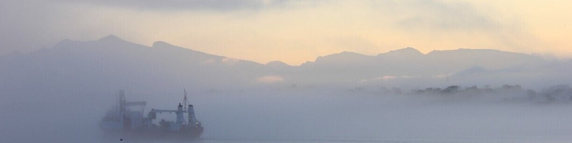 Fog appearing before sunrise.