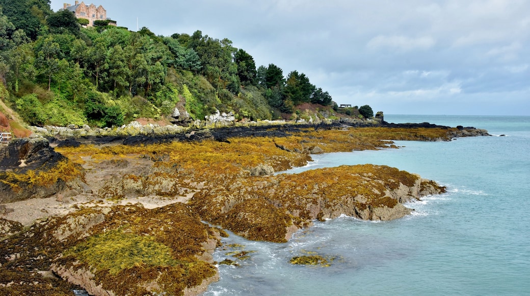 A small colourful picturesque bay and harbour in Jersey, When you walk along the harbour wall you will then have some wonderful views along the coast and back towards the small village