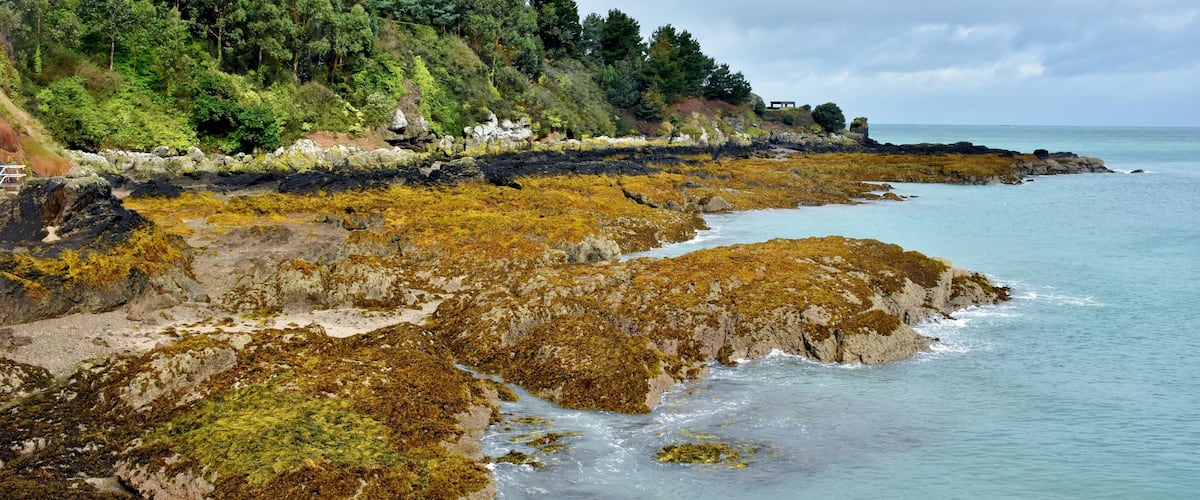 A small colourful picturesque bay and harbour in Jersey, When you walk along the harbour wall you will then have some wonderful views along the coast and back towards the small village