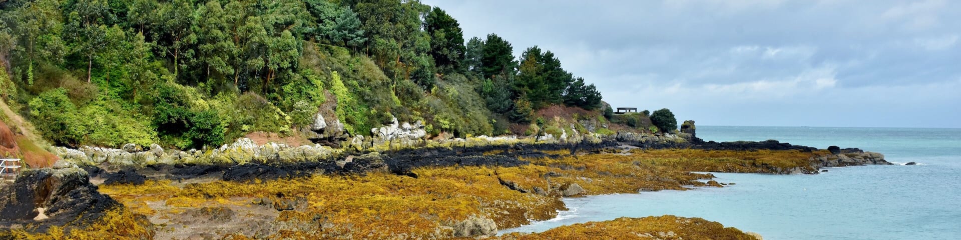 A small colourful picturesque bay and harbour in Jersey, When you walk along the harbour wall you will then have some wonderful views along the coast and back towards the small village