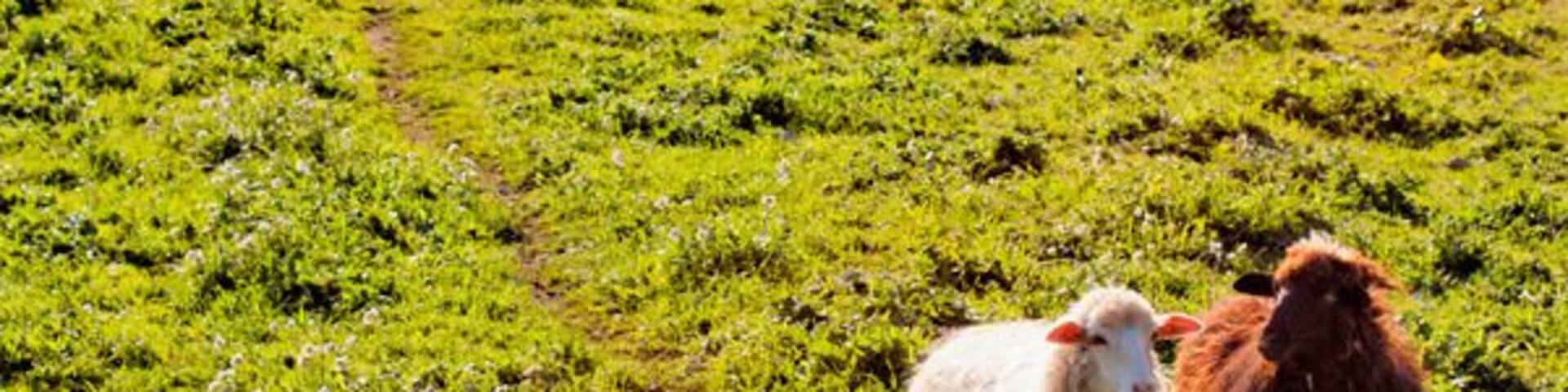 Monti Palazzo Adriano