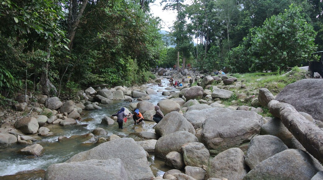 JERAM TOI, MALAYSIA -OCTOBER 22, 2020: Cozy atmosphere during the day at Jeram Toi Recreation Park in Malaysia. Visitors enjoy holidays and picnics with the family.