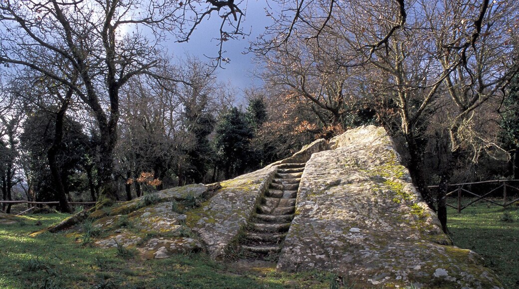Pulpito Del Re in the Bosco Della Ficuzza