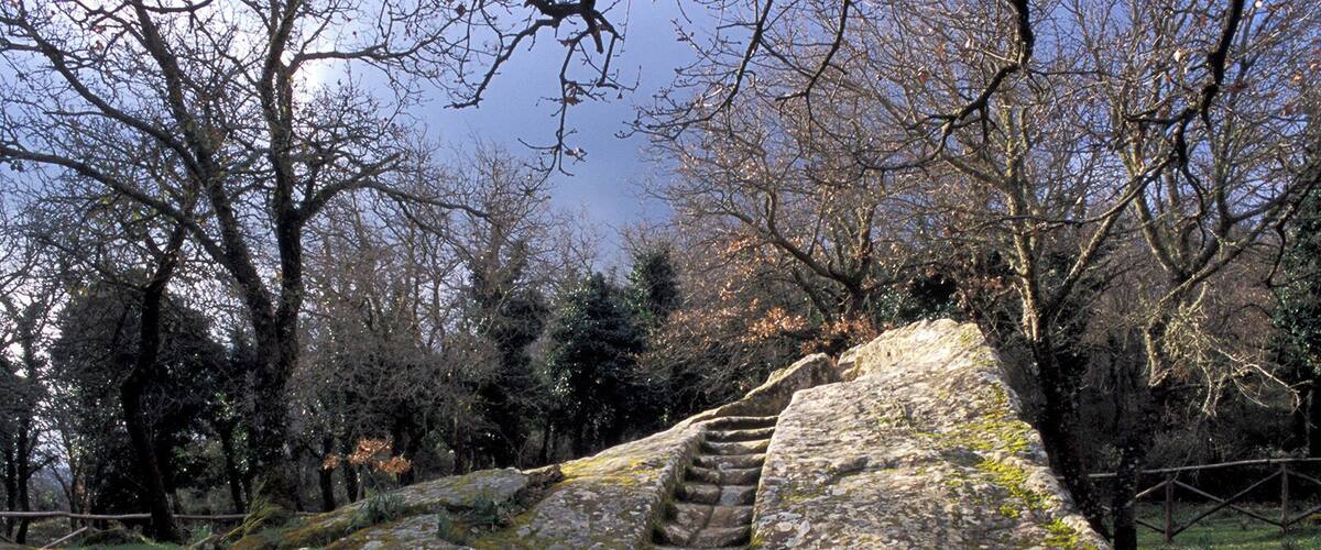 A stone staircase leading up a grassy hill with trees in the background.