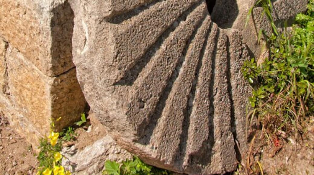 Мельница Фьяккатти