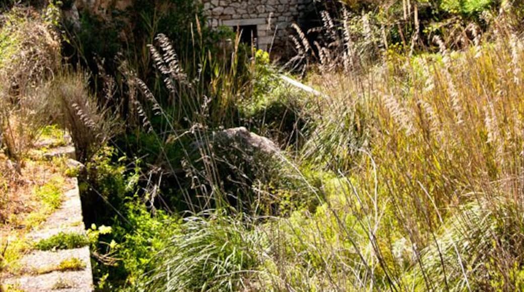 Мельница Фьяккатти