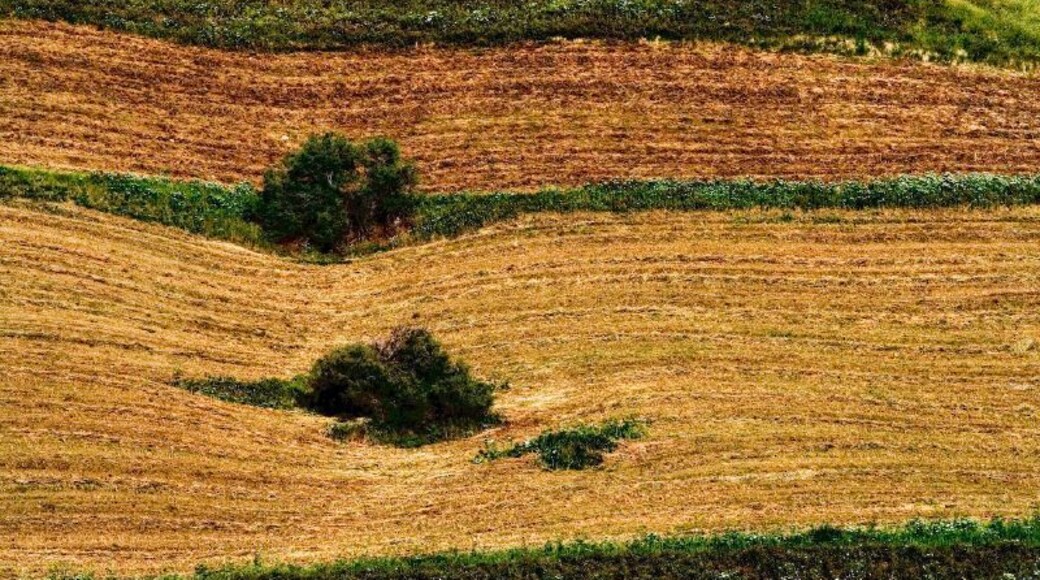 Campagna, Agrigento