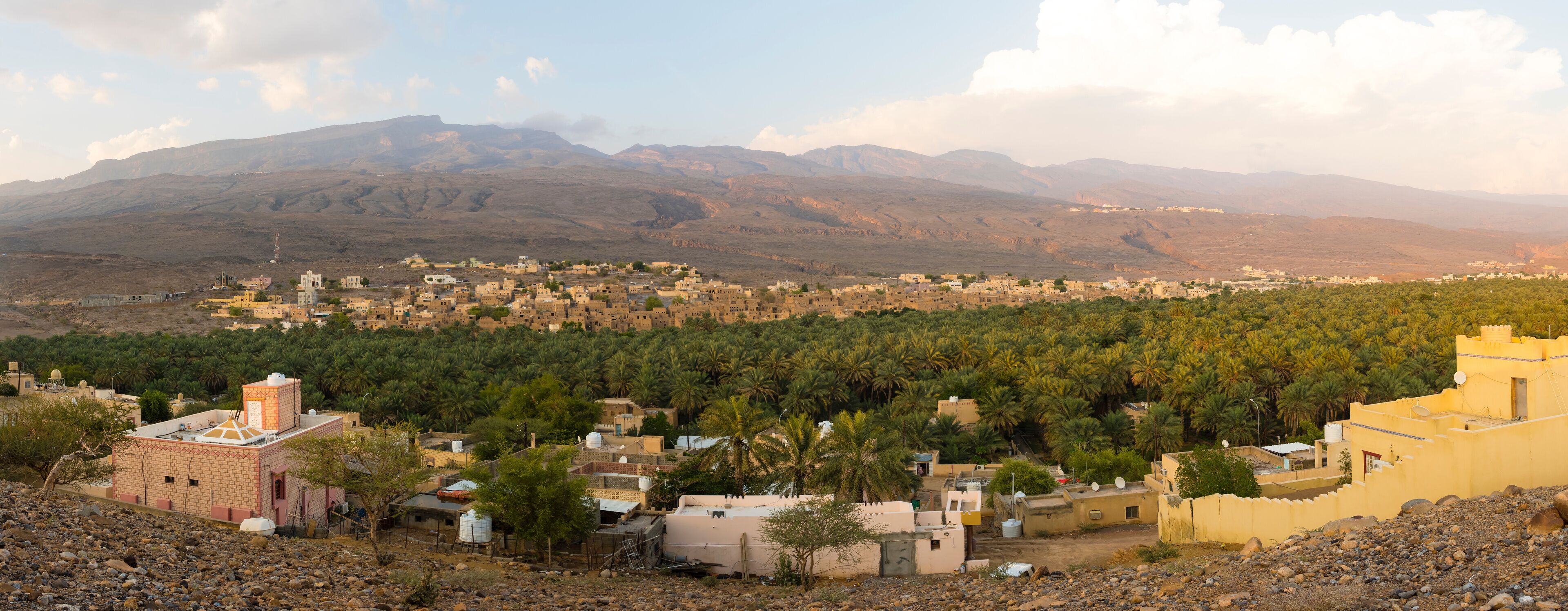 A town nestled in a valley with palm trees and mountains in the background.