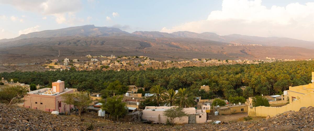 A town nestled in a valley with palm trees and mountains in the background.
