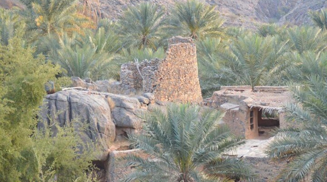 Misfat al Abreyeen (Al Hamra, Oman)
https://www.youtube.com/watch?v=Ew04oUh4tVw
Misfat Al Abriyeen has become quite an attractive tourist destination in recent years due to the many features that make it a wonderful experience for any visitor. The village boasts amazing agricultural terraces, beautiful alleys, and old houses built on top of solid rocks. The combination of these elements gives a visitor to Misfat Al Abriyeen a dramatic image from the viewing platform, which is a short walk from the entrance to the village. Near the viewing platform, there is also a map of the historical part of Misfat Al Abriyeen along with information, points of interests and tips for visiting tourists. The old houses in Misfat al Abriyeen are traditional mud houses with palm frond roofs, and are unique in that they are built on solid rock foundations, surely as means of providing security during the olden times.
Many villagers of Misfat Al Abriyeen rely on the agricultural terraces for their livelihood, where bananas, pomegranates, papayas, mangoes, citrus trees and of course palm trees are grown. Those terraces along the mountain slopes are watered through an intricate falaj system that has been carved through the hard rocks of the mountain, and is supplied from a spring source that can be reached by following a short track along the falaj.