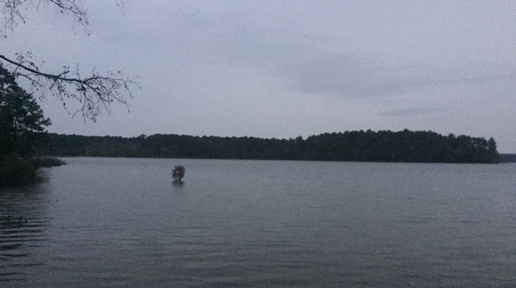 Bussey camp ground has 20 wooded plots along the Clark hill lake. It was serene and beautiful through the night, the kind that can't be put in words and captured in a photo, the kind that brings a man back to his roots in today's bustling city life.
