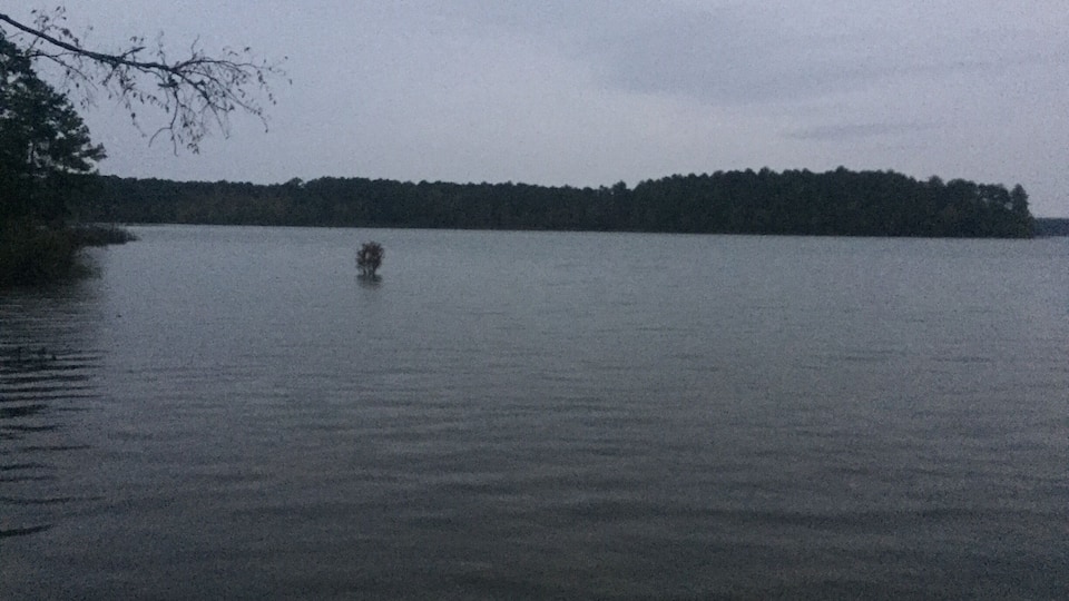 A calm lake with a small boat in the center and a forested shoreline in the background.