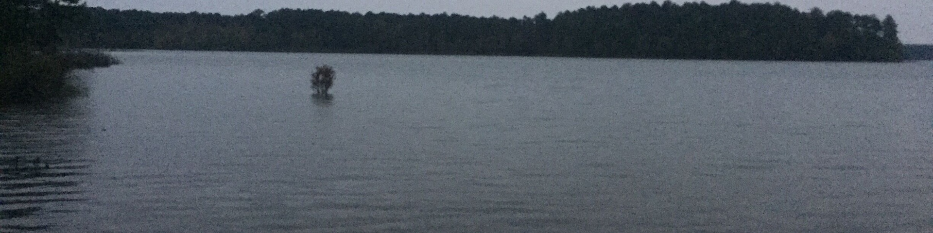 Bussey camp ground has 20 wooded plots along the Clark hill lake. It was serene and beautiful through the night, the kind that can't be put in words and captured in a photo, the kind that brings a man back to his roots in today's bustling city life.