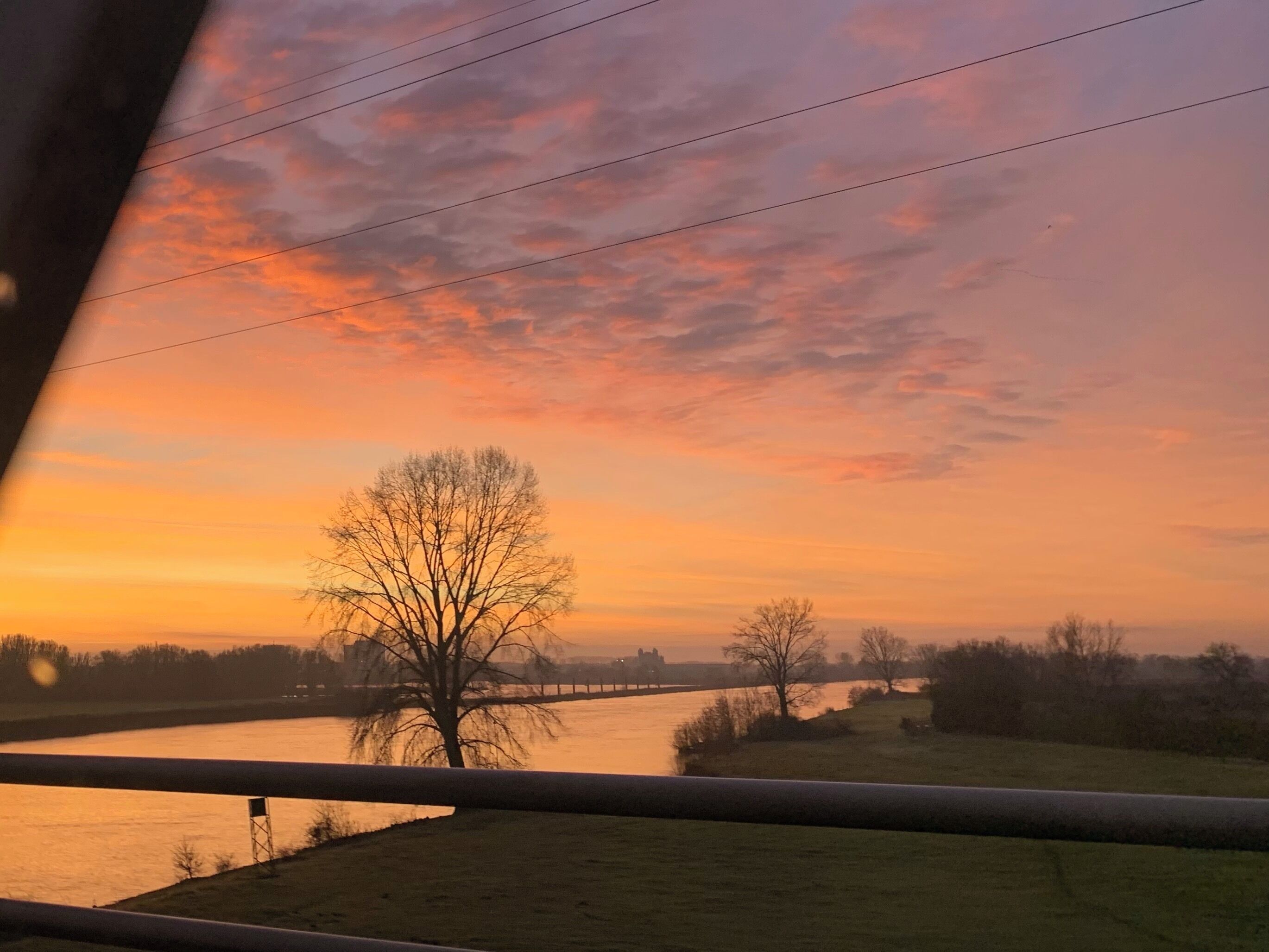 A sunset over a river with a tree in the foreground and a bridge in the distance.