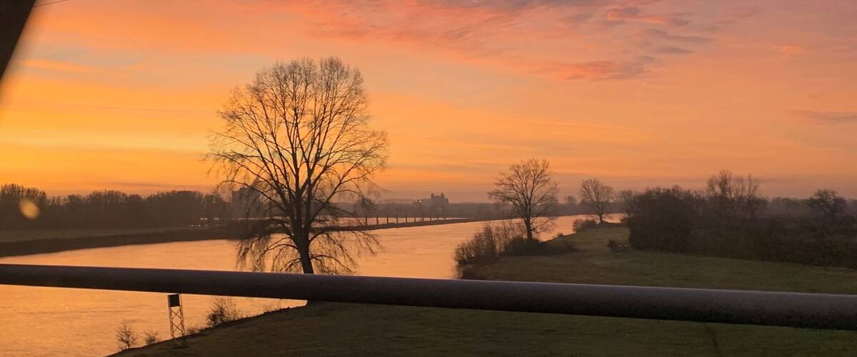 A sunset over a river with a tree in the foreground and a bridge in the distance.