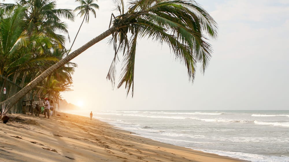 Sri Lanka. Sunny day. Sandy beach, palm trees over the water.
