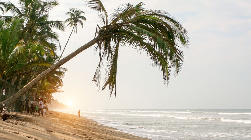 Sri Lanka. Sunny day. Sandy beach, palm trees over the water.