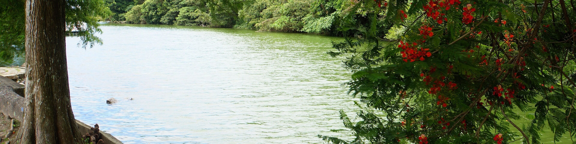 Un río con un árbol a la izquierda y flores rojas a la derecha.