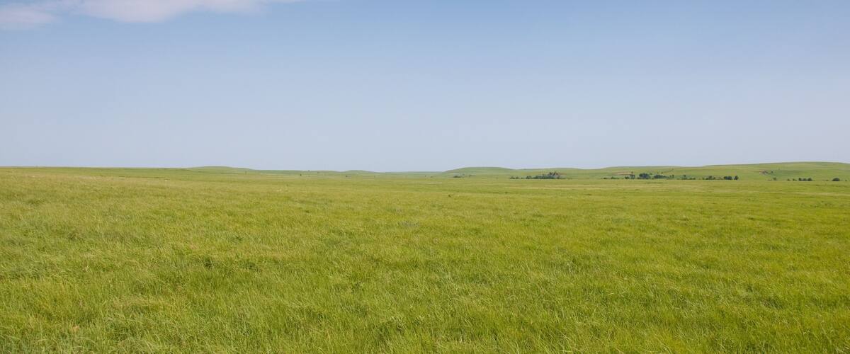 A vast green field under a clear blue sky with a few clouds.