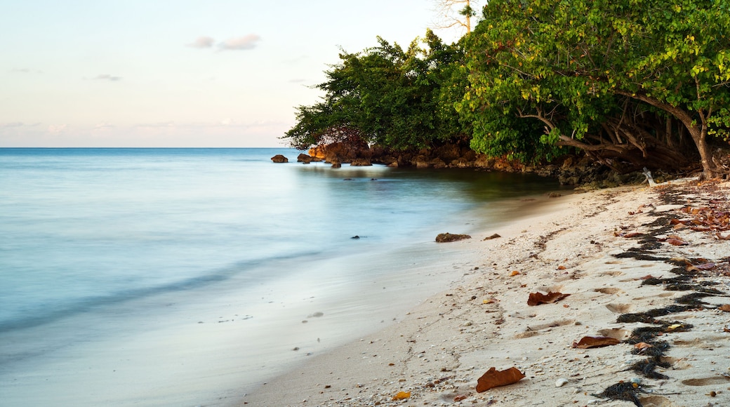 the view from a small sandy beach cove along the northeast shore of Jamaica.