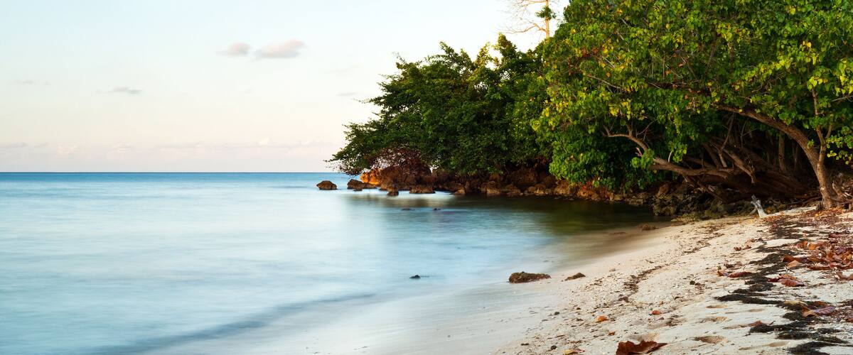 A beach with calm water, sandy shore, and a tree-covered cliff.