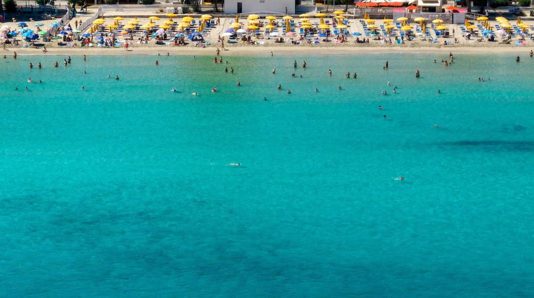 Una playa concurrida con numerosos sombrillas amarillas y azules, agua turquesa cristalina y gente nadando y tomando el sol.