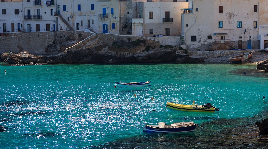 เกาะฟอร์มิกา