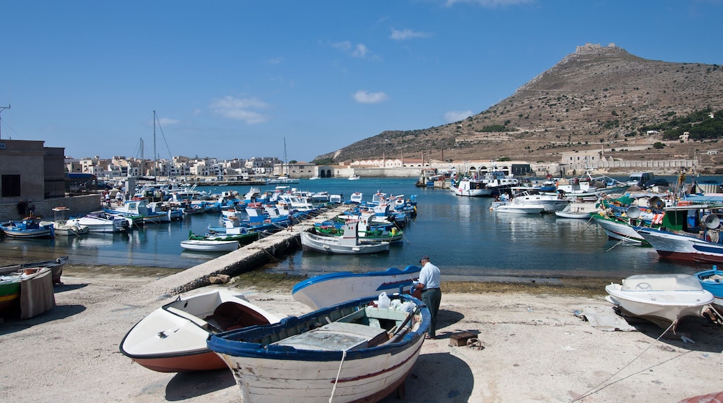 เกาะฟอร์มิกา