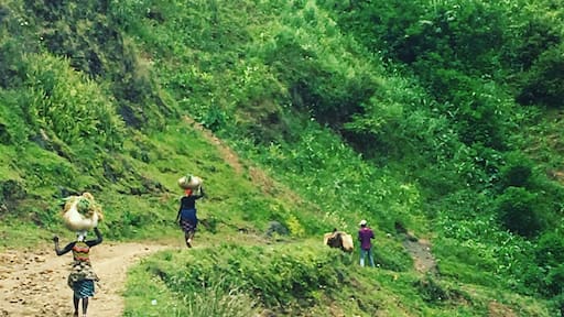 Haitian woman are unstoppable