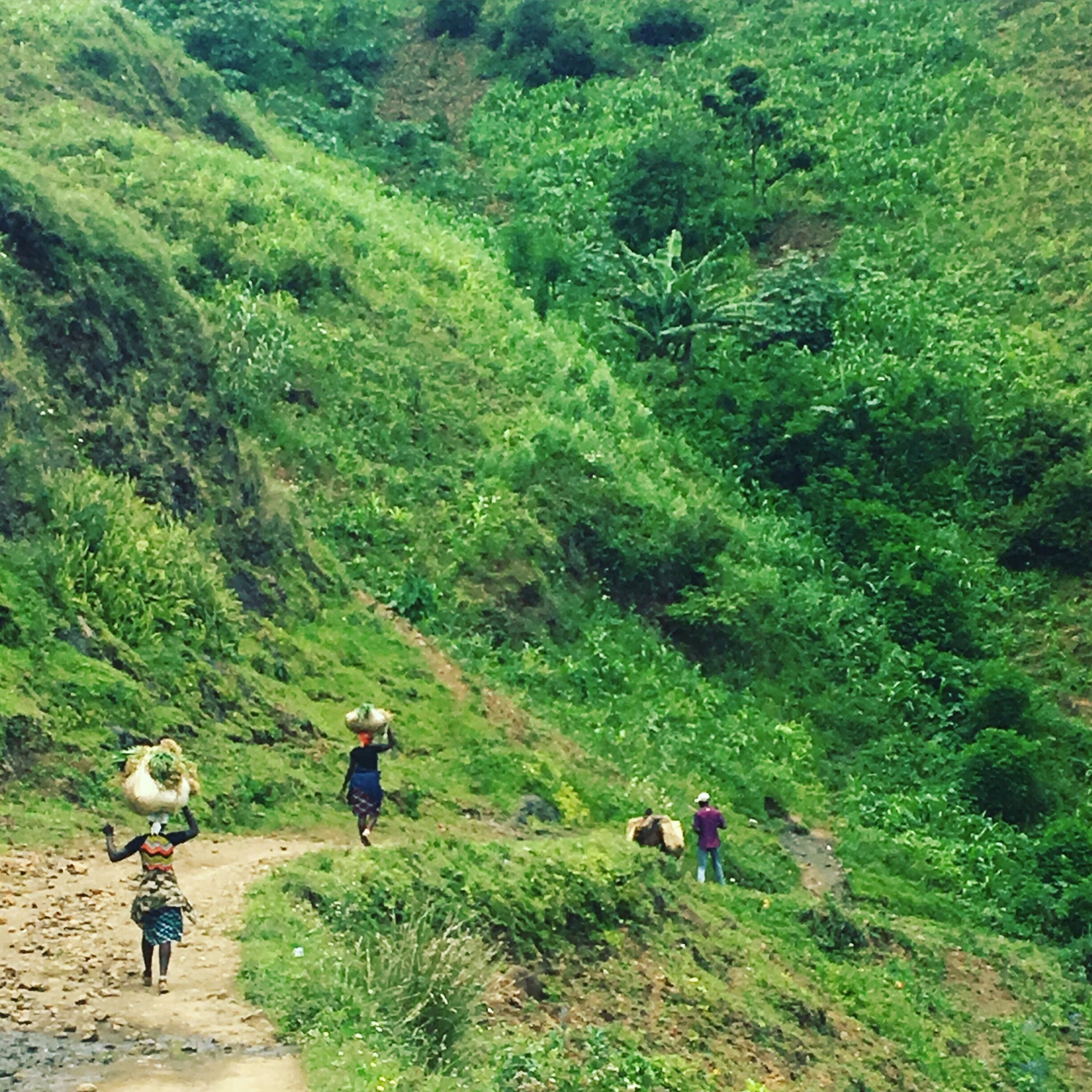 A hilly landscape with a dirt path.