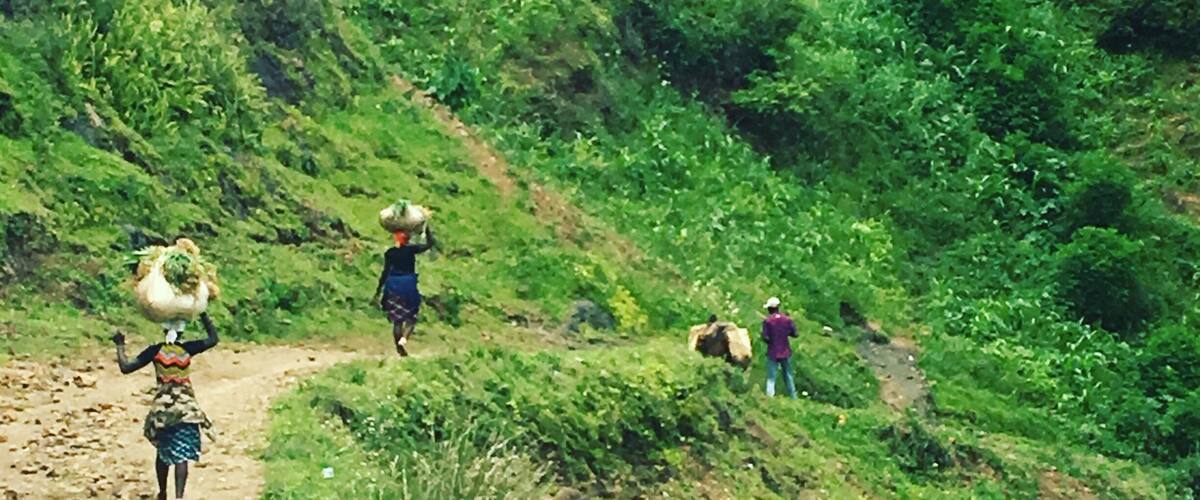 A hilly landscape with a dirt path.