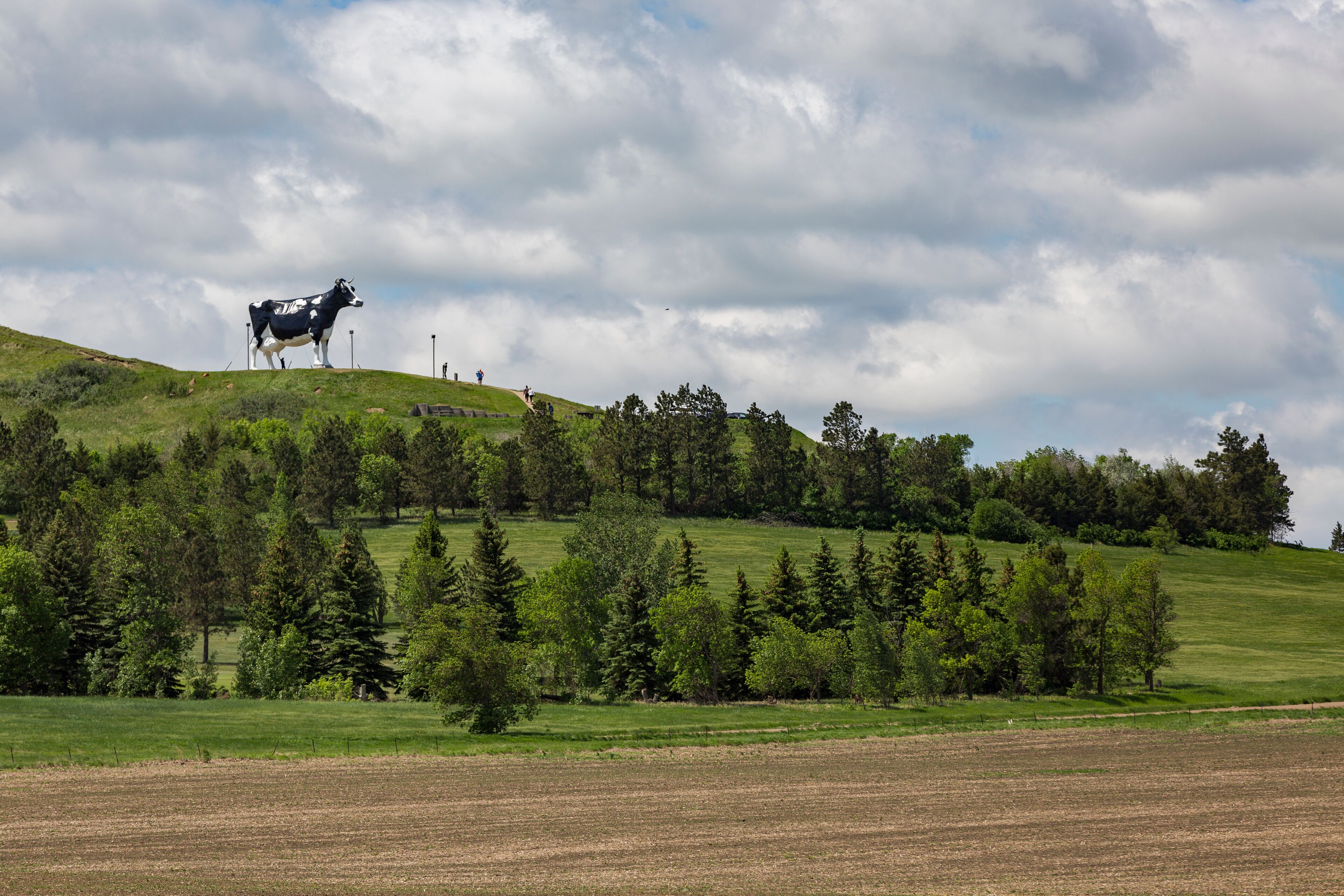 View of Salem Sue on hill against cloudy sky