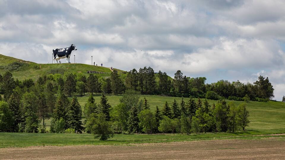 A black and white cow statue on a grassy hill, surrounded by trees and fields.
