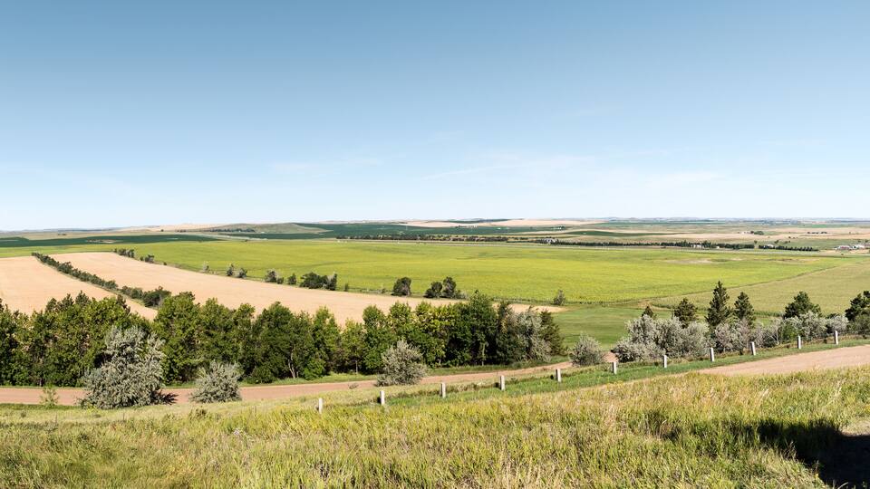 Rolling hills, green fields, and a clear blue sky.